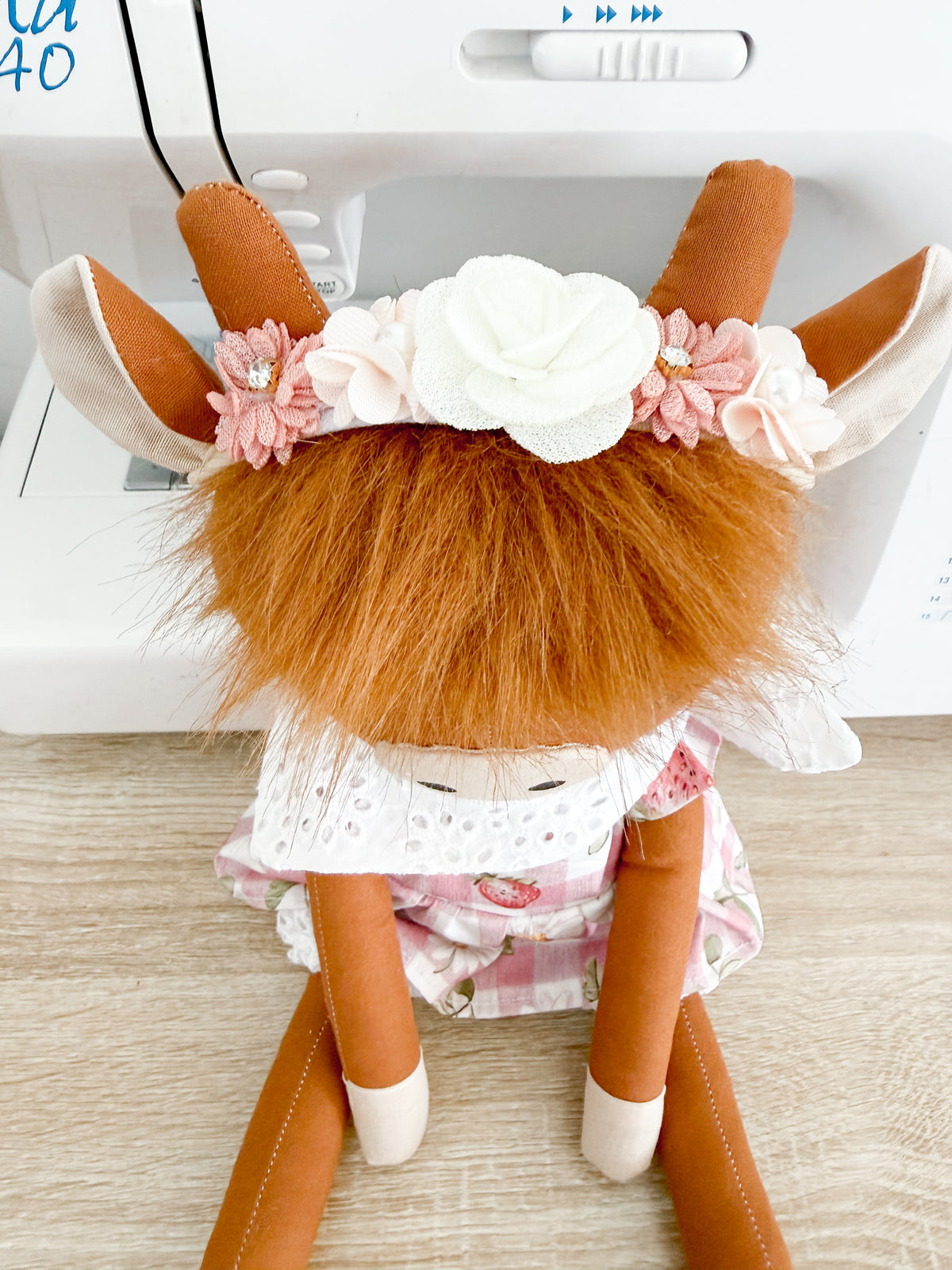 Daisy Highland Cow