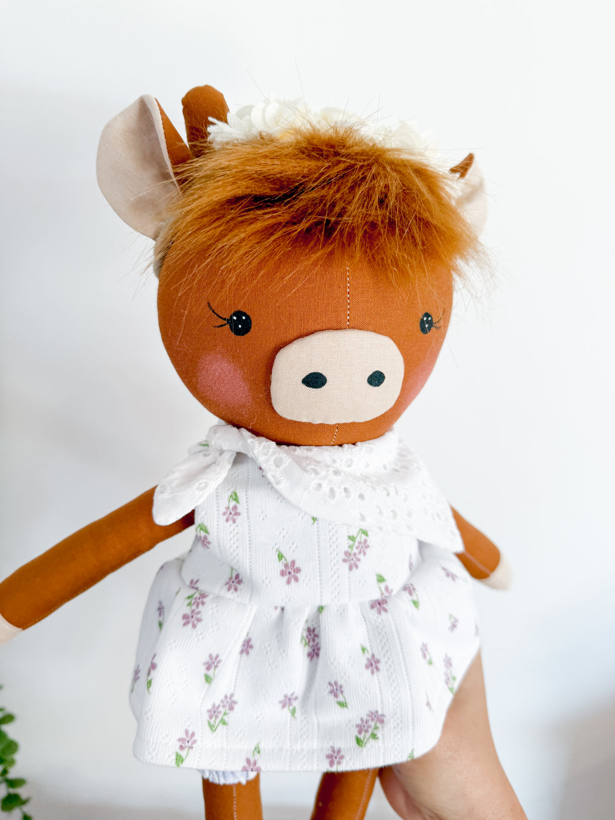 Bonnie Highland Cow