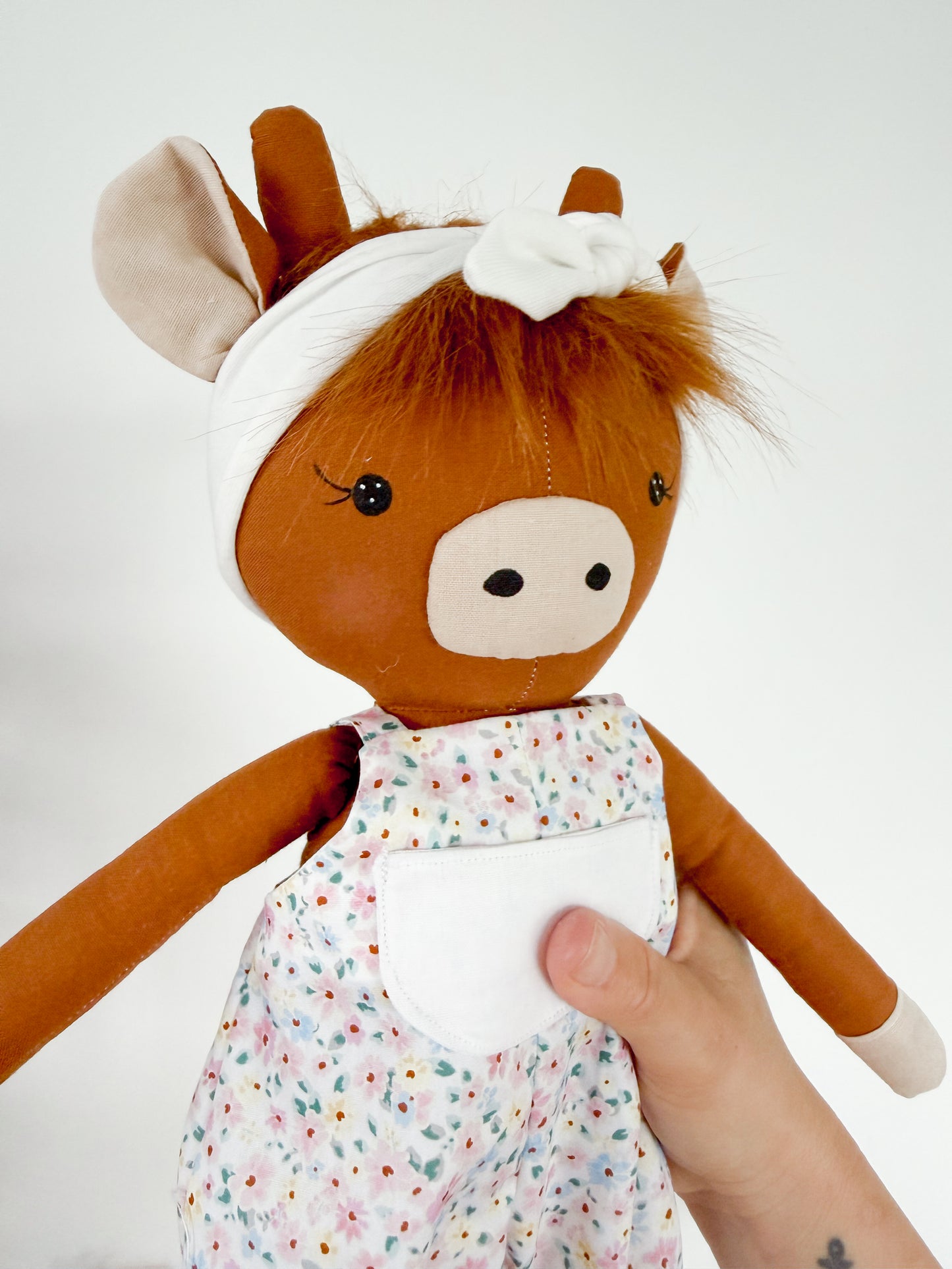 Daisy Highland Cow