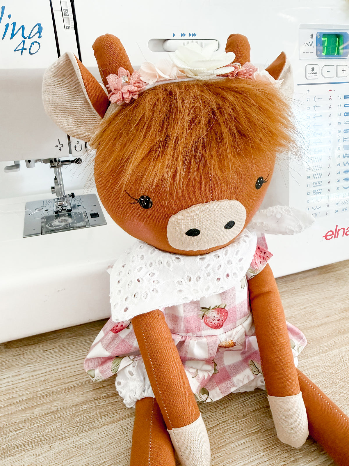 Daisy Highland Cow