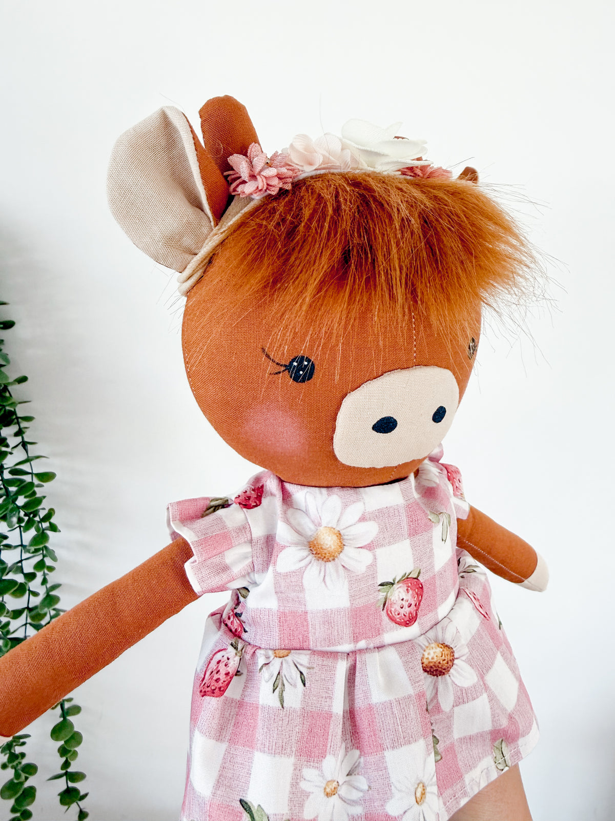Daisy Highland Cow