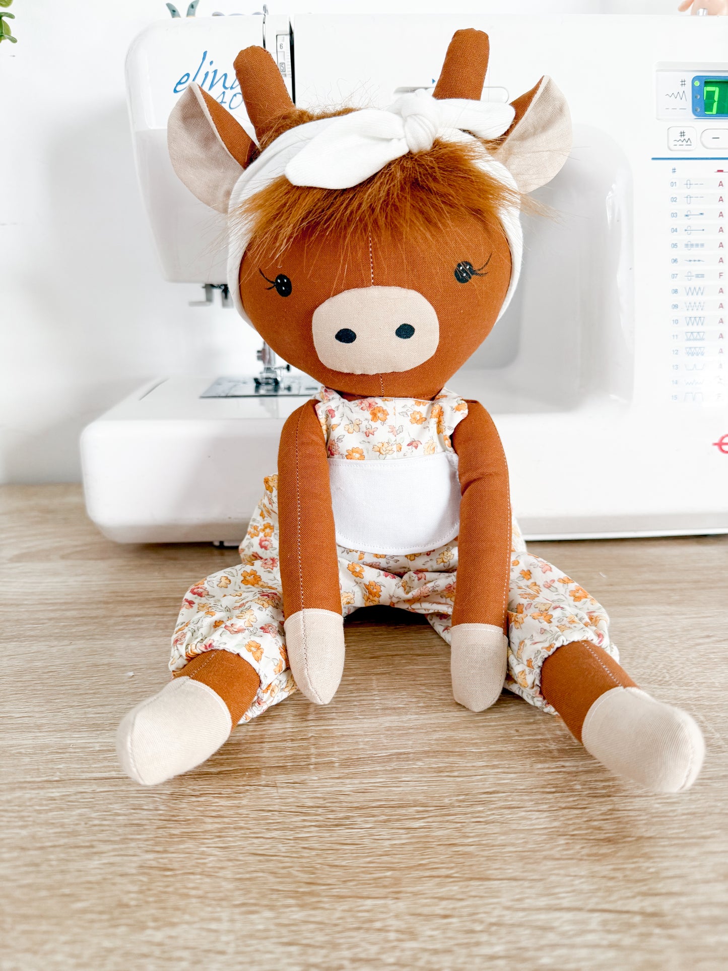 Molly Highland Cow