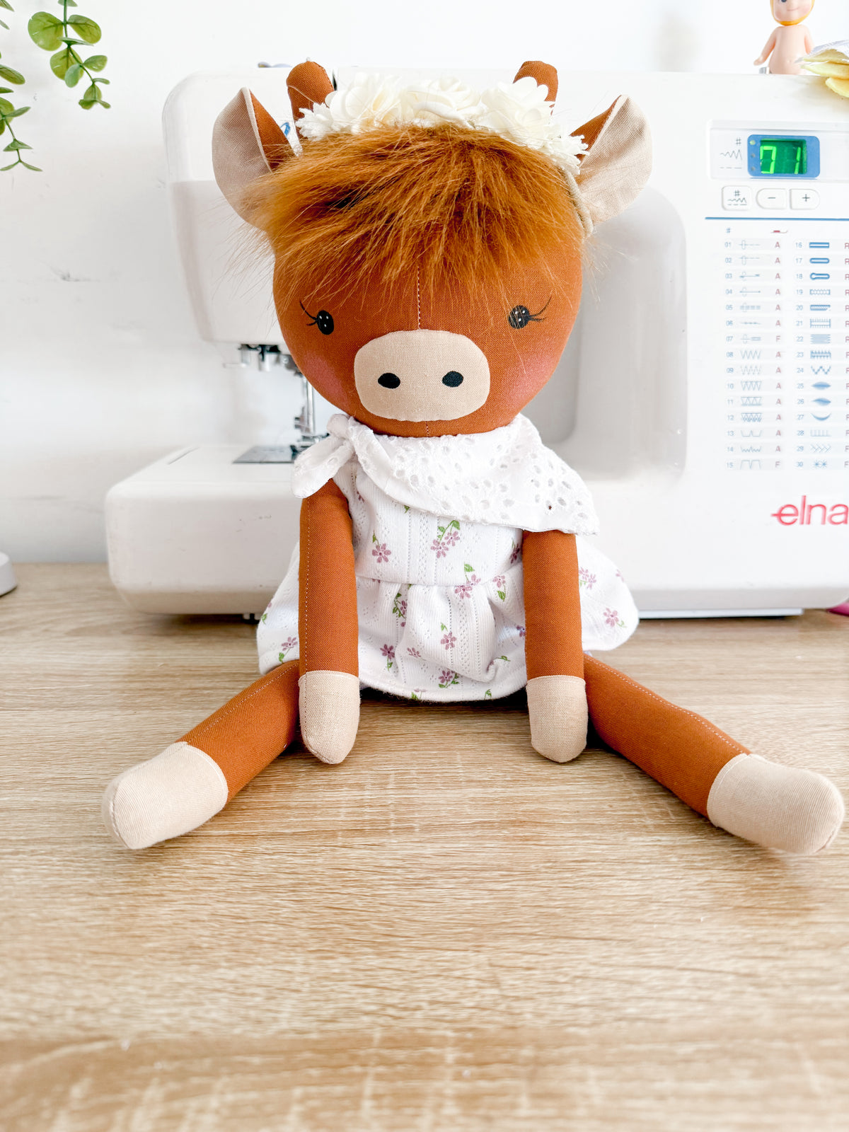 Bonnie Highland Cow