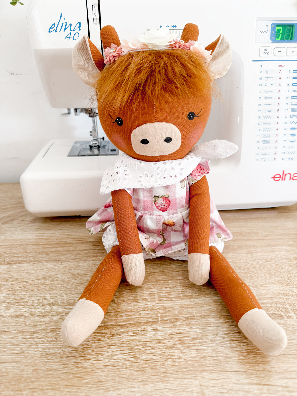 Daisy Highland Cow