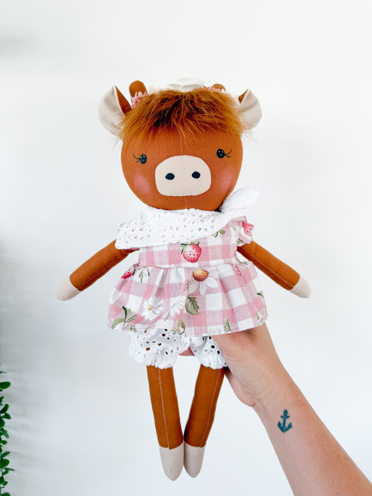 Daisy Highland Cow